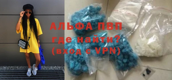 гашик Нея