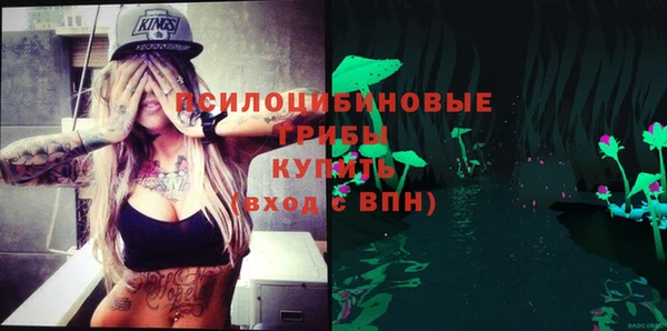 бутират Новодвинск