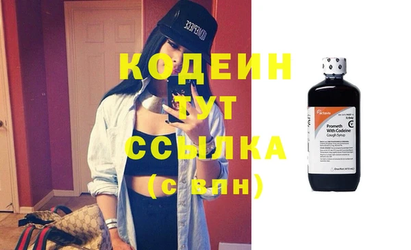 гашик Нея
