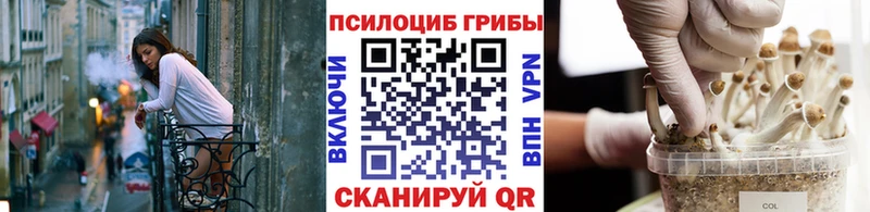 где купить   Уварово  hydra ссылка  Псилоцибиновые грибы прущие грибы 