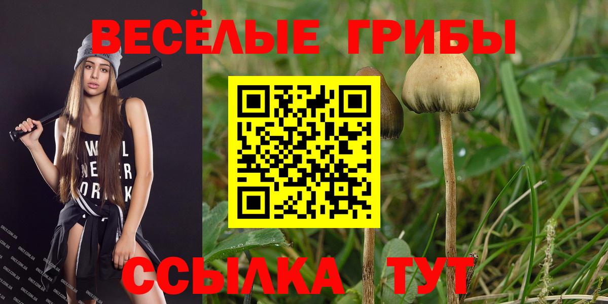 Псилоцибиновые грибы Psilocybe Уварово